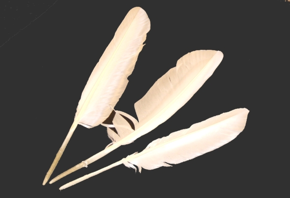Birds' feathers Goose approx. 25 - 35 cm / Pack = 1 pieces